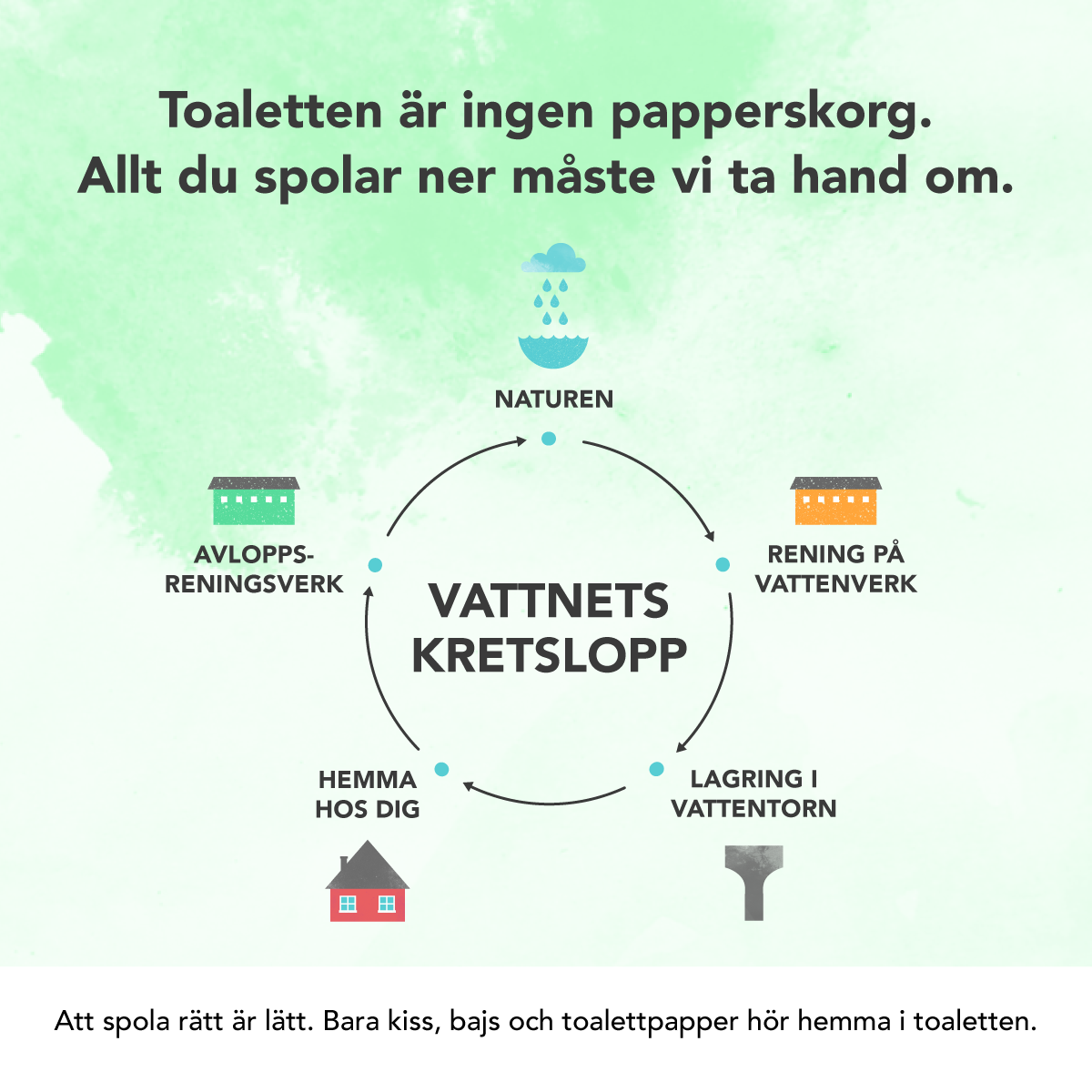 Bilden visar information om vattnets kretslopp, där vattnet går från naturen, till rening på vattenverk, till lagring i vattentorn, till människors hem, till avloppsreningsverk och tillbaka till naturen