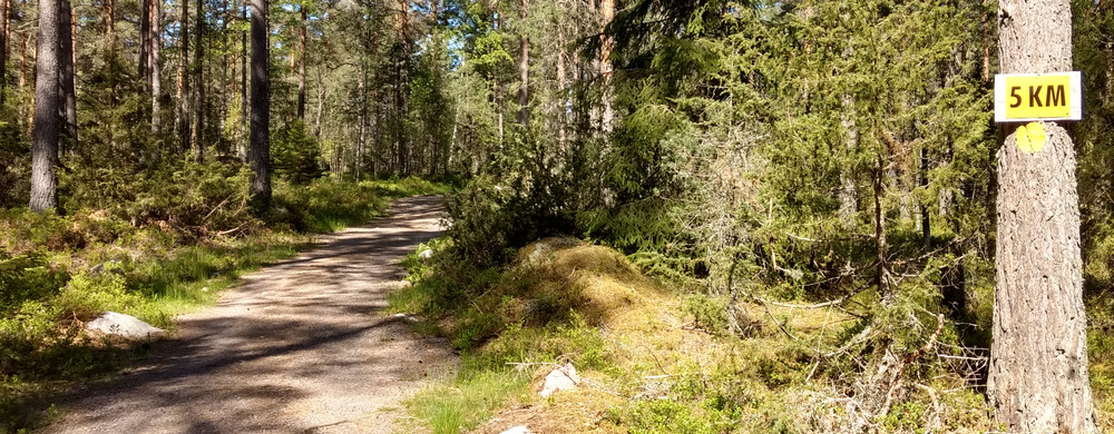 Motionsspår i Alboga med skylt för 5 kilometer.