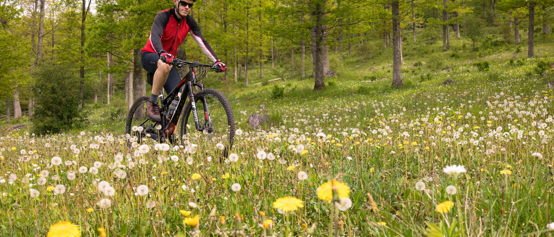 cyklist på mountinbike cyklandes på en ängsstig